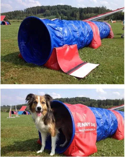 Polyester Fabric Dog Agility Practice Tunnel Flexible Duct With Carry Bag