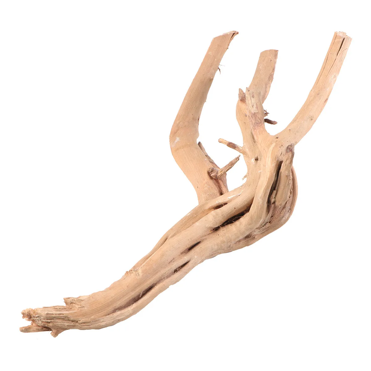 30-35Cm Natural Driftwood Branch for Freshwater Aquarium Fish Tank Decoration Biofilm Grazing Dwarf Shrimp Habitat Moss