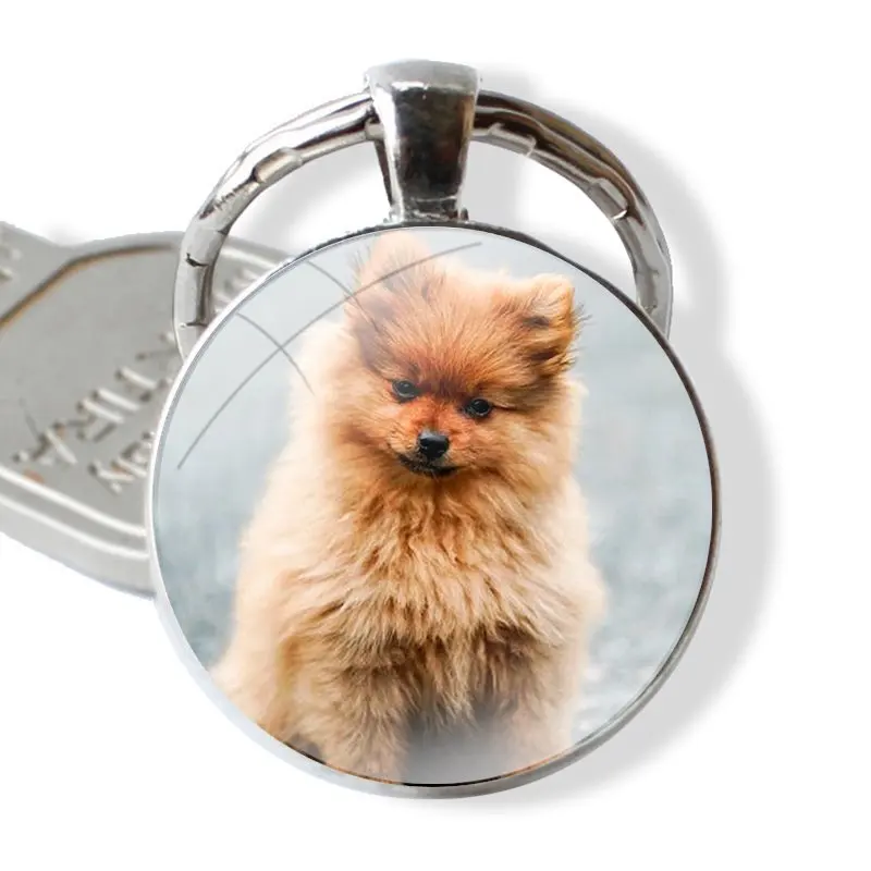 Accessories Phone Cases Covers glass cabochon keychain Car key chain Charms keychains Gifts Pomeranian dogs