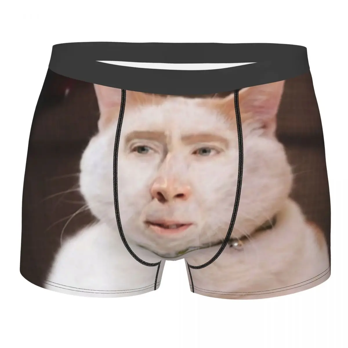 Funny Nicolas Cage Cat Meme Underwear Men Sexy Print Custom Boxer Shorts Panties Briefs Breathbale Underpants