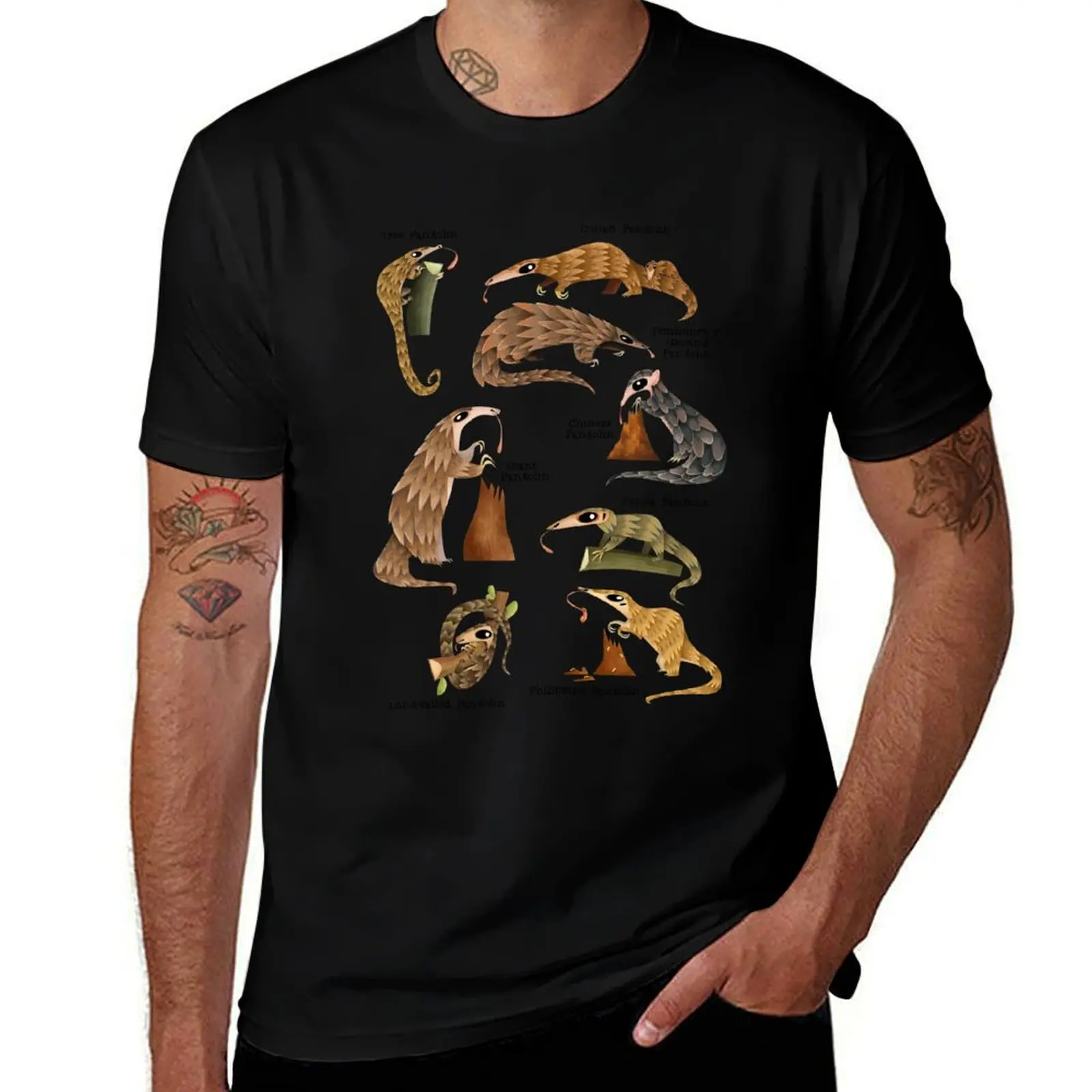 Pangolins of the World T-Shirt Plus Size Solid Color T-Shirt