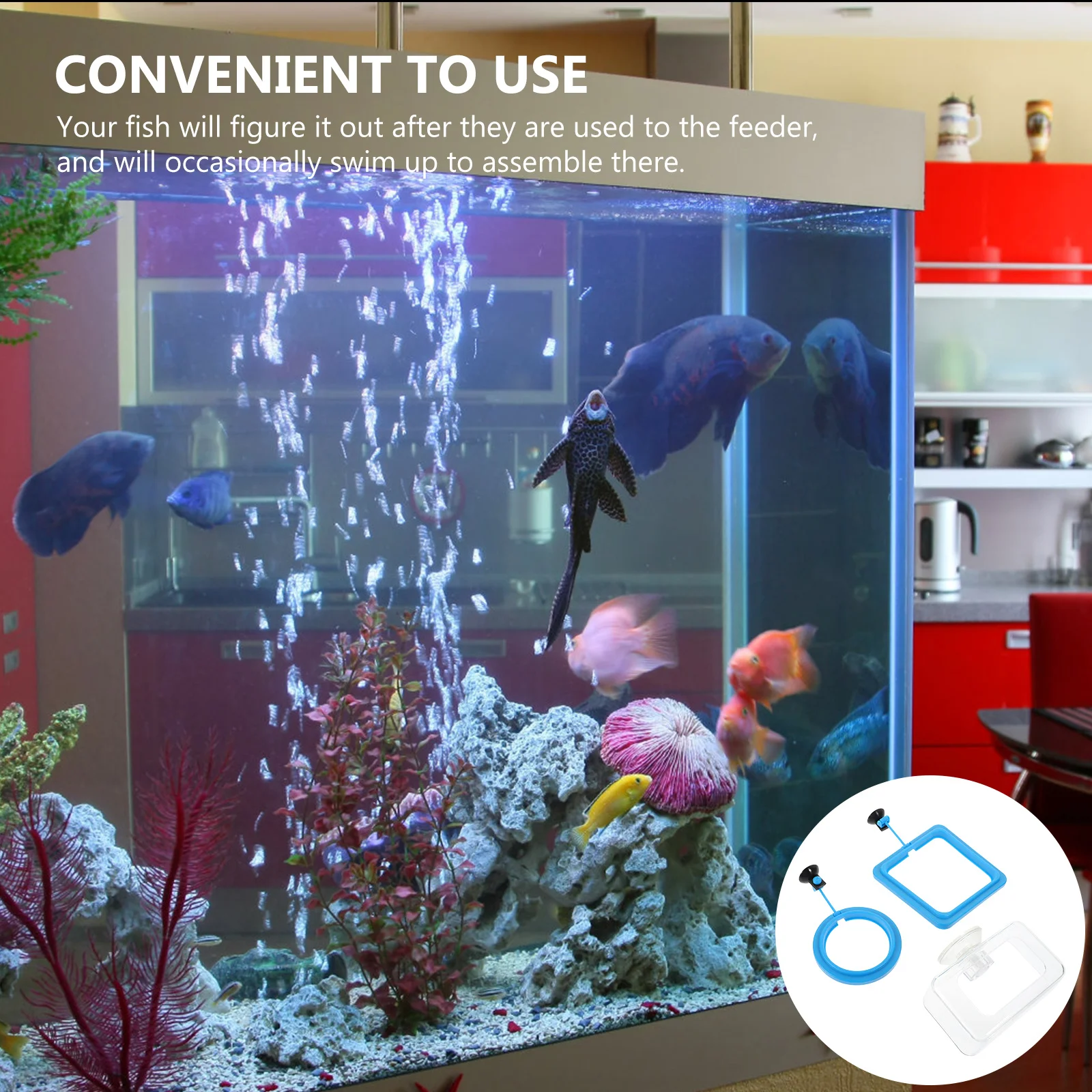 

3pcs Square Suction Cup Aquarium Feeder For Fish Tank Feeding Tool Suction Cup Aquarium Feeder Tropical Fish Feeding Supply Ring