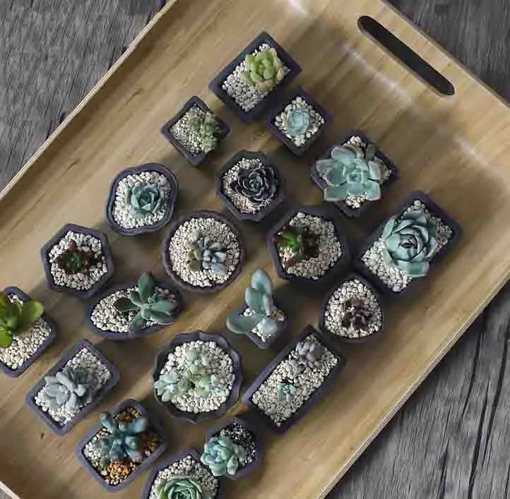 Yixing Viola Sabbia Vaso di Fi - Bonsai Tree Zen Garden recensione e prezzo