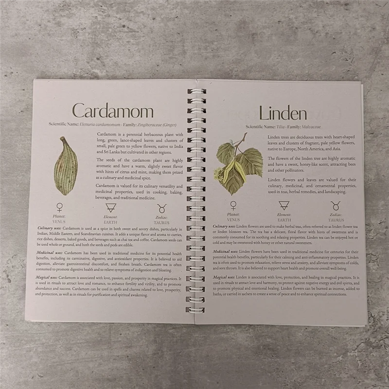 ABKS-Guide complet à 82 herbes naturelles pour la santé et la récupération, pages non revêtues, parfait pour la planification et la récupération de la santé