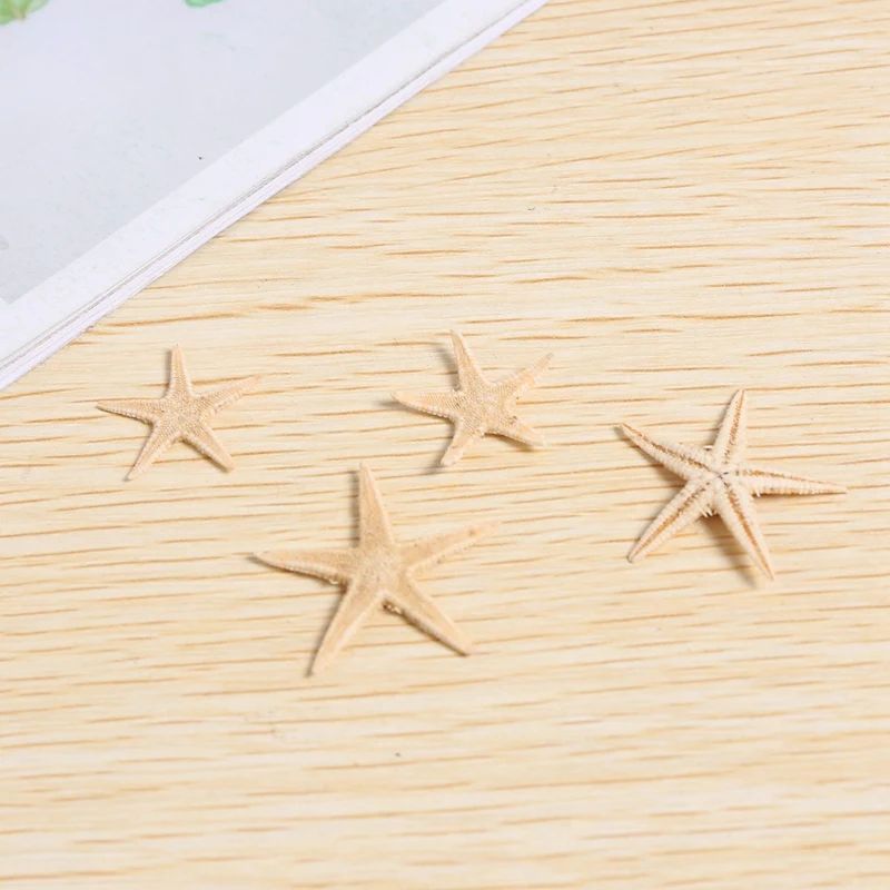B84B 180 Pcs Small Natural Real Starfish, 0.4-1.2 Inch Sea Shells for Beach Crafts, Wedding Decor, Vase Fillers
