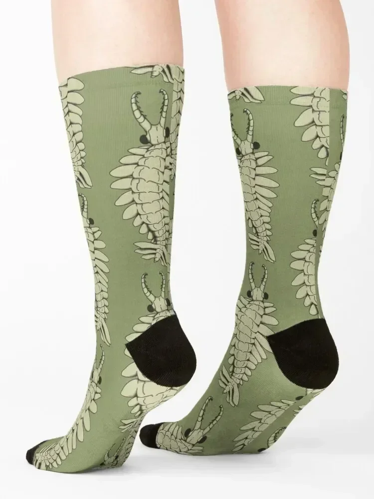 Anomalocaris Socks funny sock Climbing halloween compression Socks For Men Women's