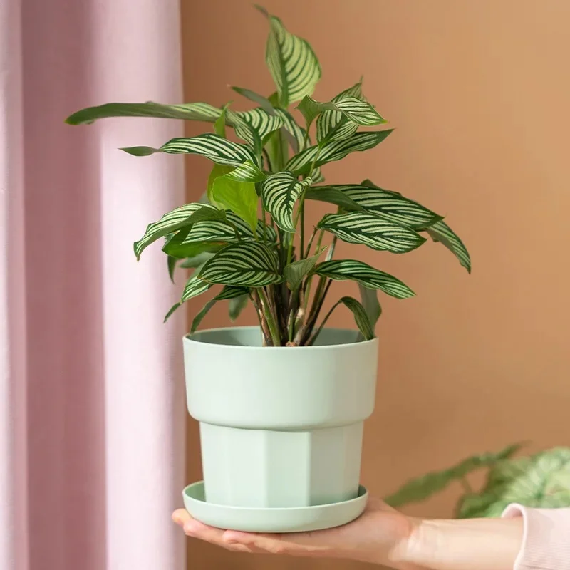 Nordic Minimalist Plastic Resin Thickened Shatter-Resistant Desktop Flower Pot for Pothos and Succulents