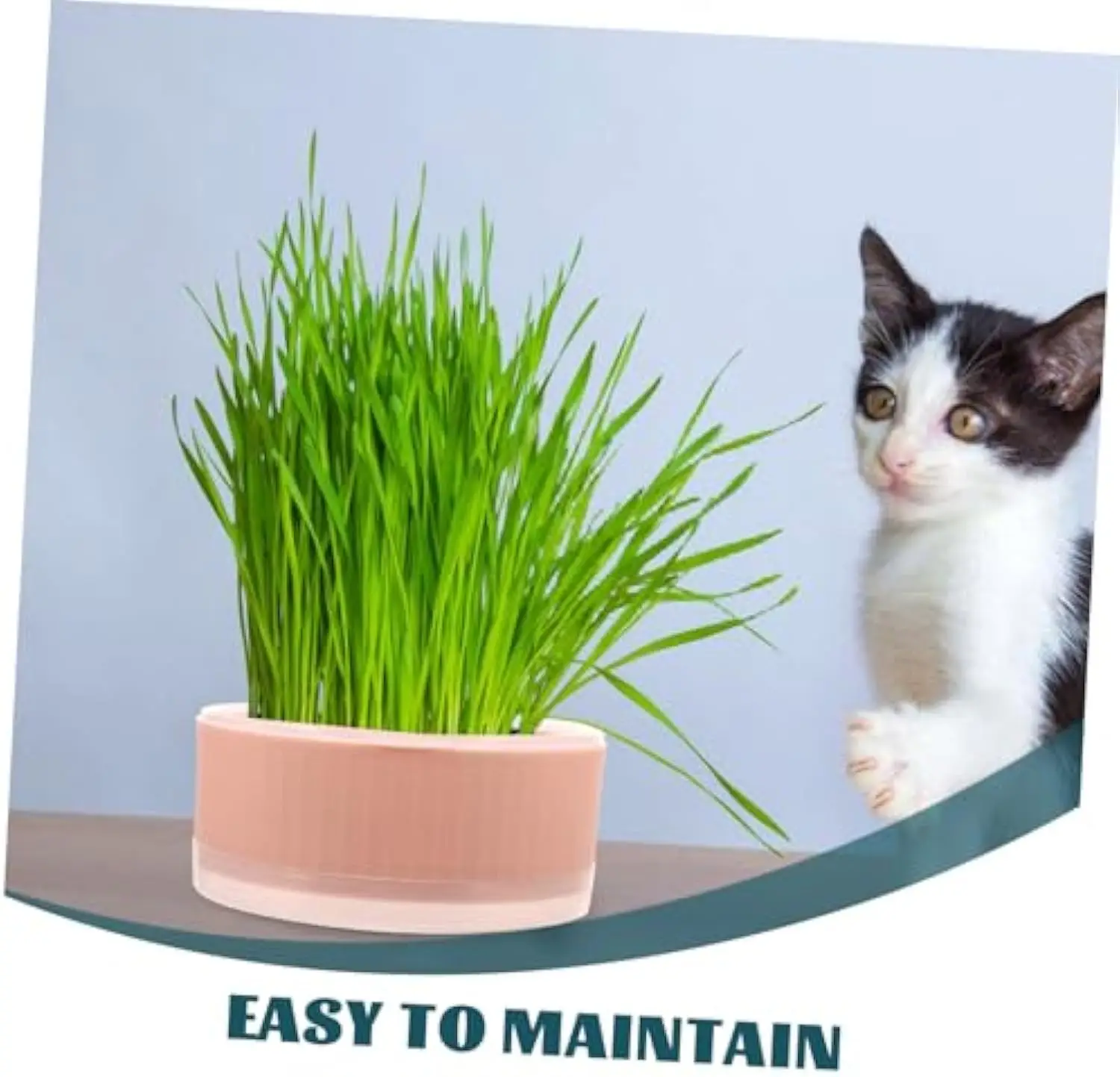 Cat Plant Planter Cat Plant for Pet Convenient Cat Planter Cat Plant Pot The Lazy  Plastic Cat Grass cup Without seeds