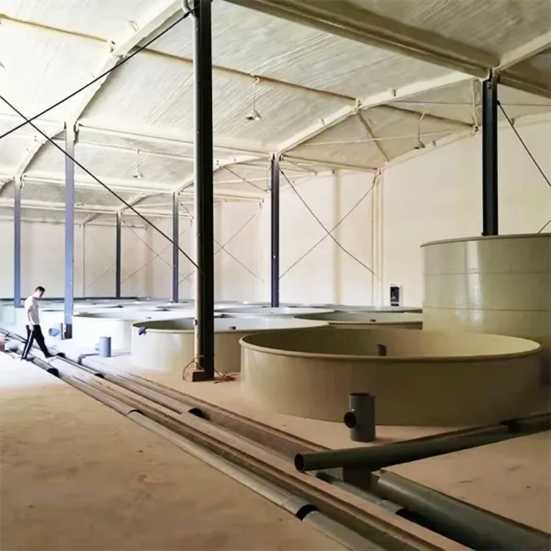 Ras System Tilapia Fish Egg Incubators Aquaculture Equipment Tanks for Indoor Fish Farming System Ras Tilapia