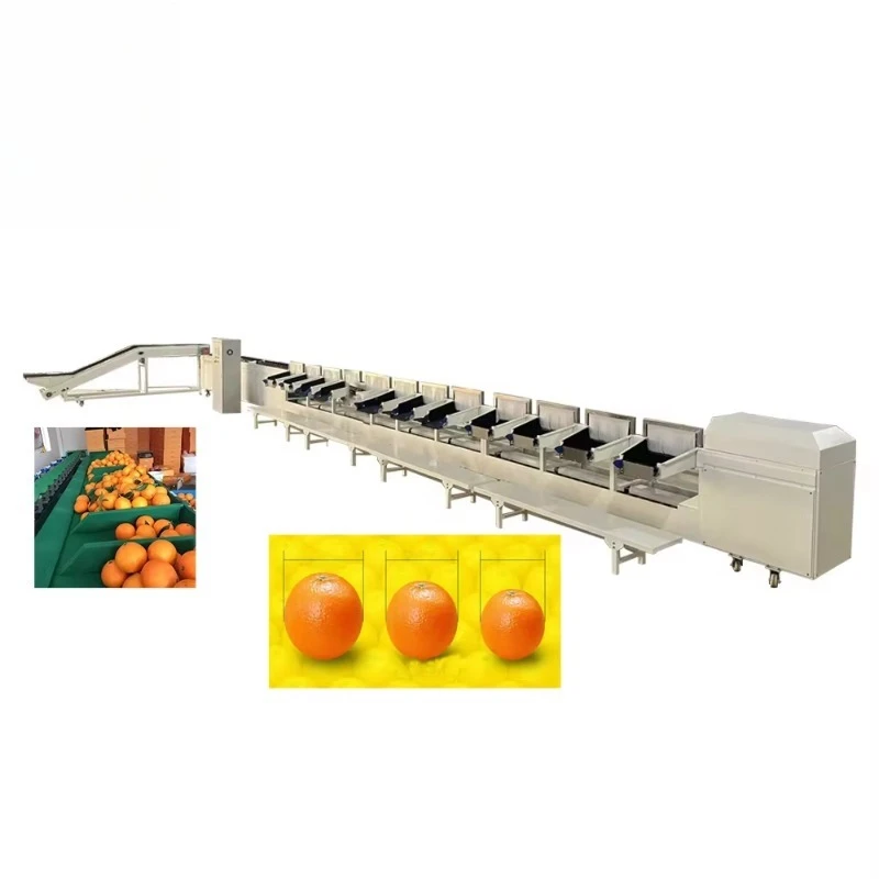 Fruit Sorting Calibrating Machine Price Orange Mango  Avocado Fruit Washing Waxing Drying Grading Machine
