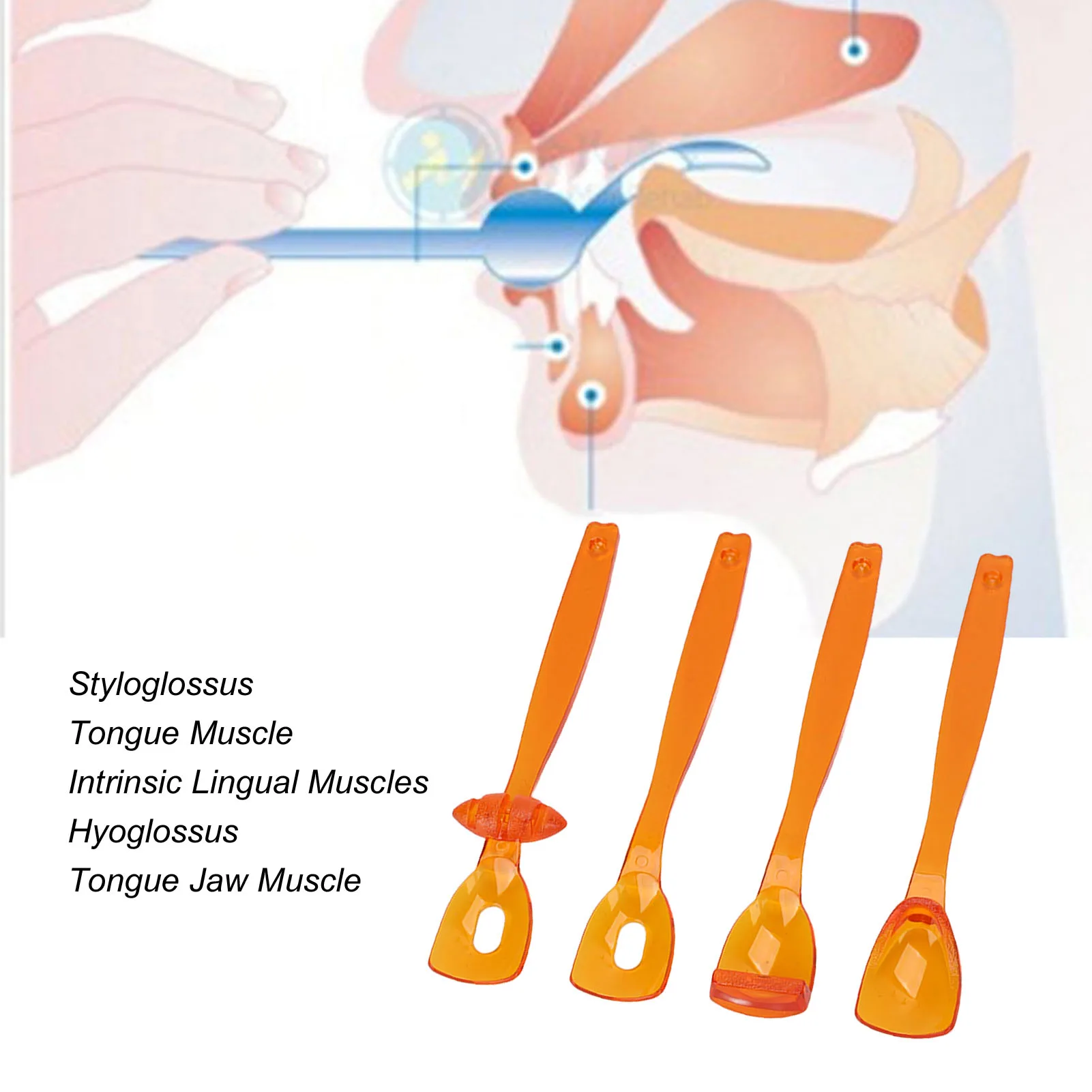 4pcs Tongue Muscle Trainer Portable Oral Lips Muscle Exerciser Recovery Tool for Dysarthria (Orange) Oral Muscle Training Tool