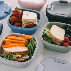 Bayzon Collapsible Sandwich Box  24oz Reusable Food Storage Container  To-Go Travel Silicone Bowl for Hot and Cold Food