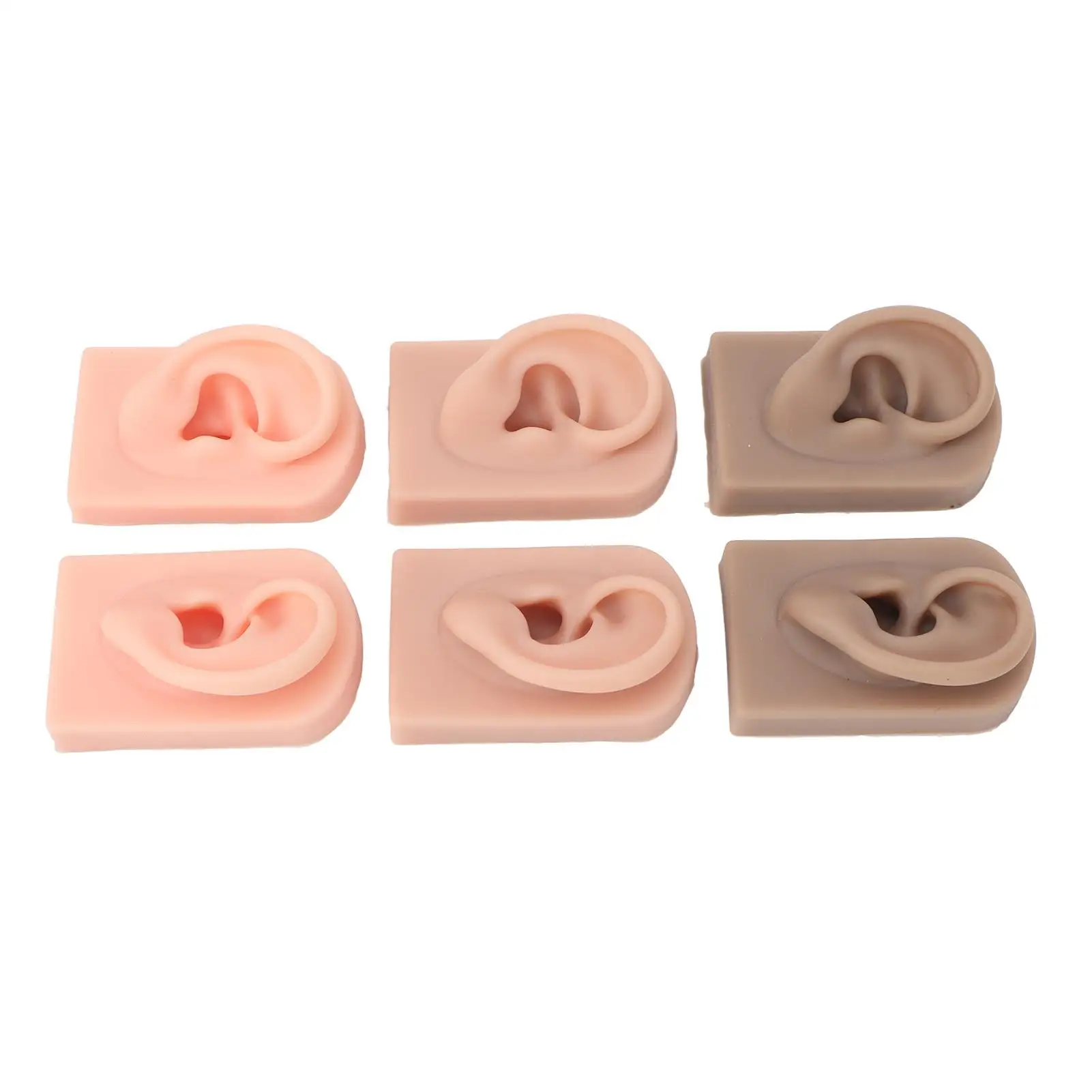 

Silicone Human Ear Model for Beginners - 3 Colors for Practice Training