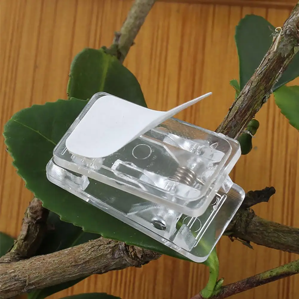 Wall Hanging Clips Acrylic Clips Compact Durable Self-adhesive Wall Clips Versatile Binder Photo Hanging Solution for Various