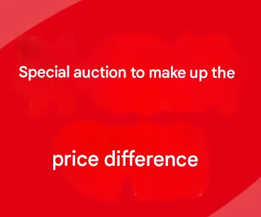 

Link to pay for product difference/remote shipping/accessory fees