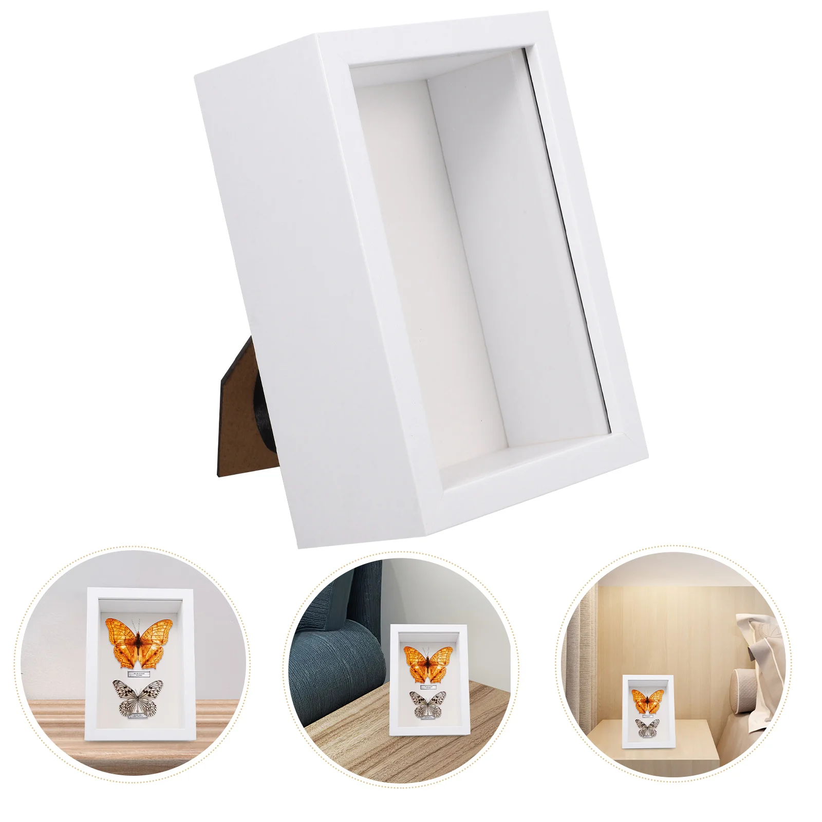 

Insect Specimen Box Rustic Display Frame Wooden Keepsake Set up Butterfly with Glass White