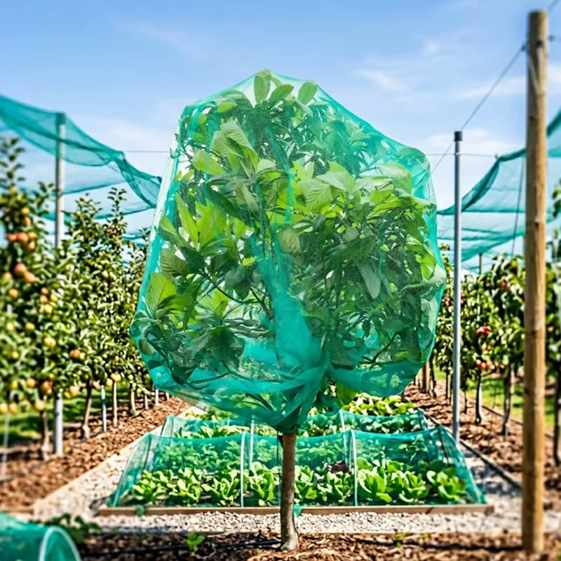 Rete per alberi da frutto da giardino, rete anti-uccelli per ortaggi, rete protettiva per uva, rete anti-insetti per piante, rete per polli, rete in nylon, rete antigrandine, rete protettiva per