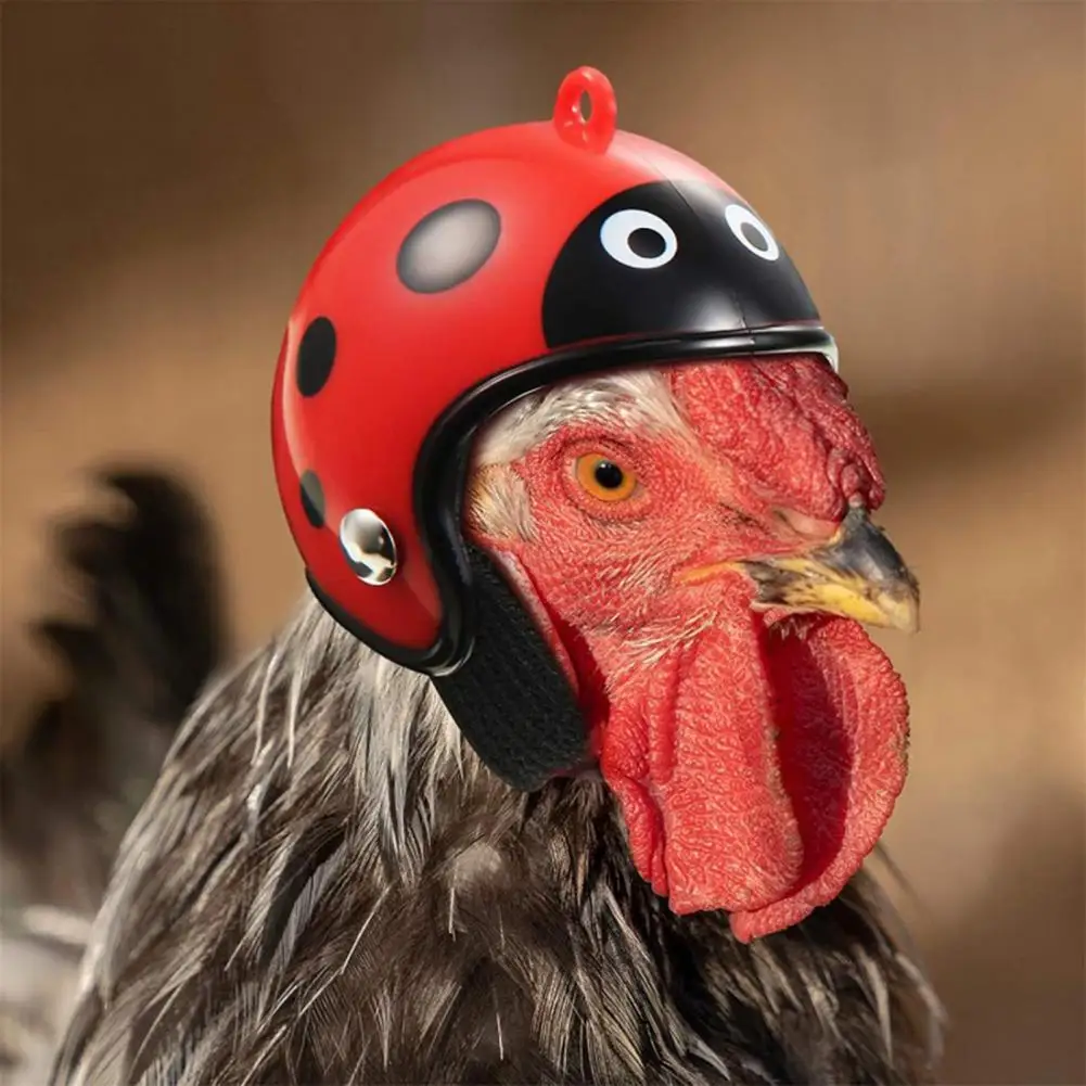 Chicken Helmet Funny Unique Funny Parrot Bird Hat Small Birds Hard Headwear Costumes Pet Accessories For Chickens Parakeet