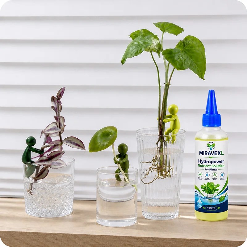 1 Set Hydroponic Nutrient Solu - огляд і ціна Hydroponic Kit