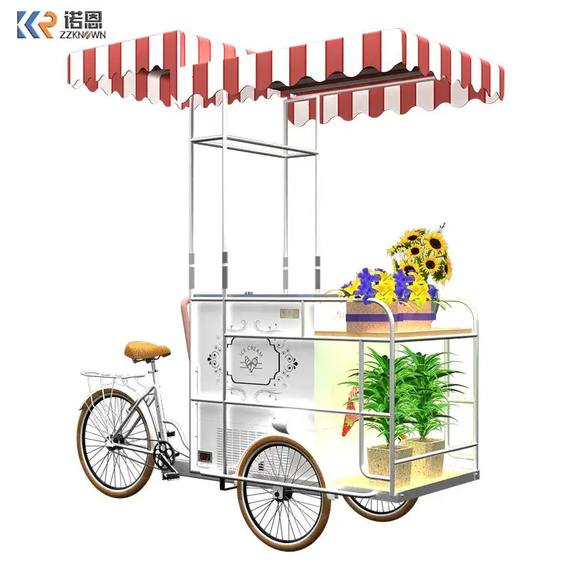 Congelador de helados de 110v con carrito de bicicleta, zona escénica, parque, mercado de tienda, atractivo, nuevo