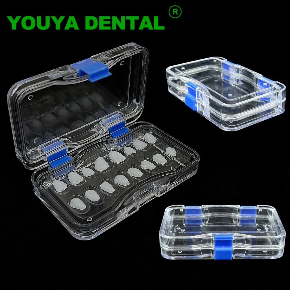 Dental Crown Box Plastic Transparent Denture Tooth Storage Box With Film Membrane Fake Teeth Prosthesis Crown Case Dentist Tools