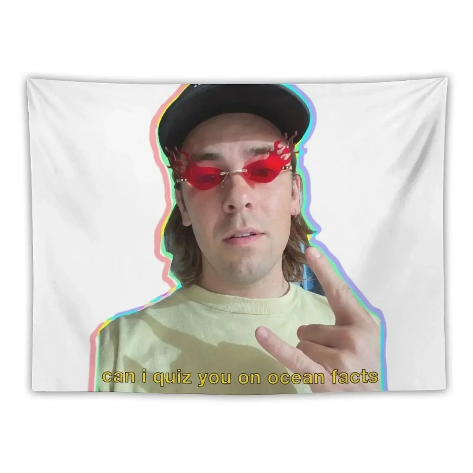 

Cody Ko Tapestry Wall Hanging Decor Wall Hanging Wall Tapestry