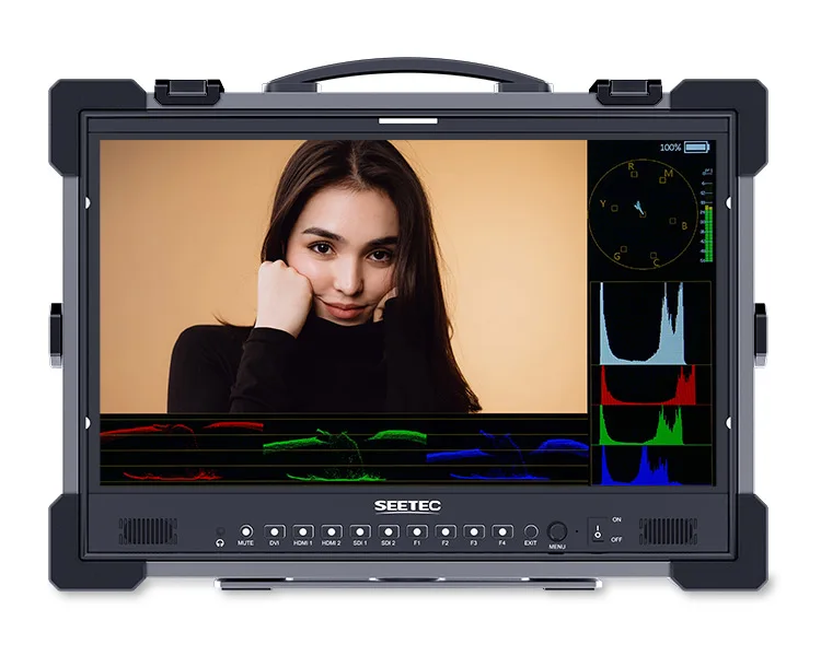 SEETEC P215 PRO-CO 21.5 Inch 1000nit High Bright Field Monitor 3G-SDI HDMI 4K HDR Broadcast Protective Case Full HD 1920x1080