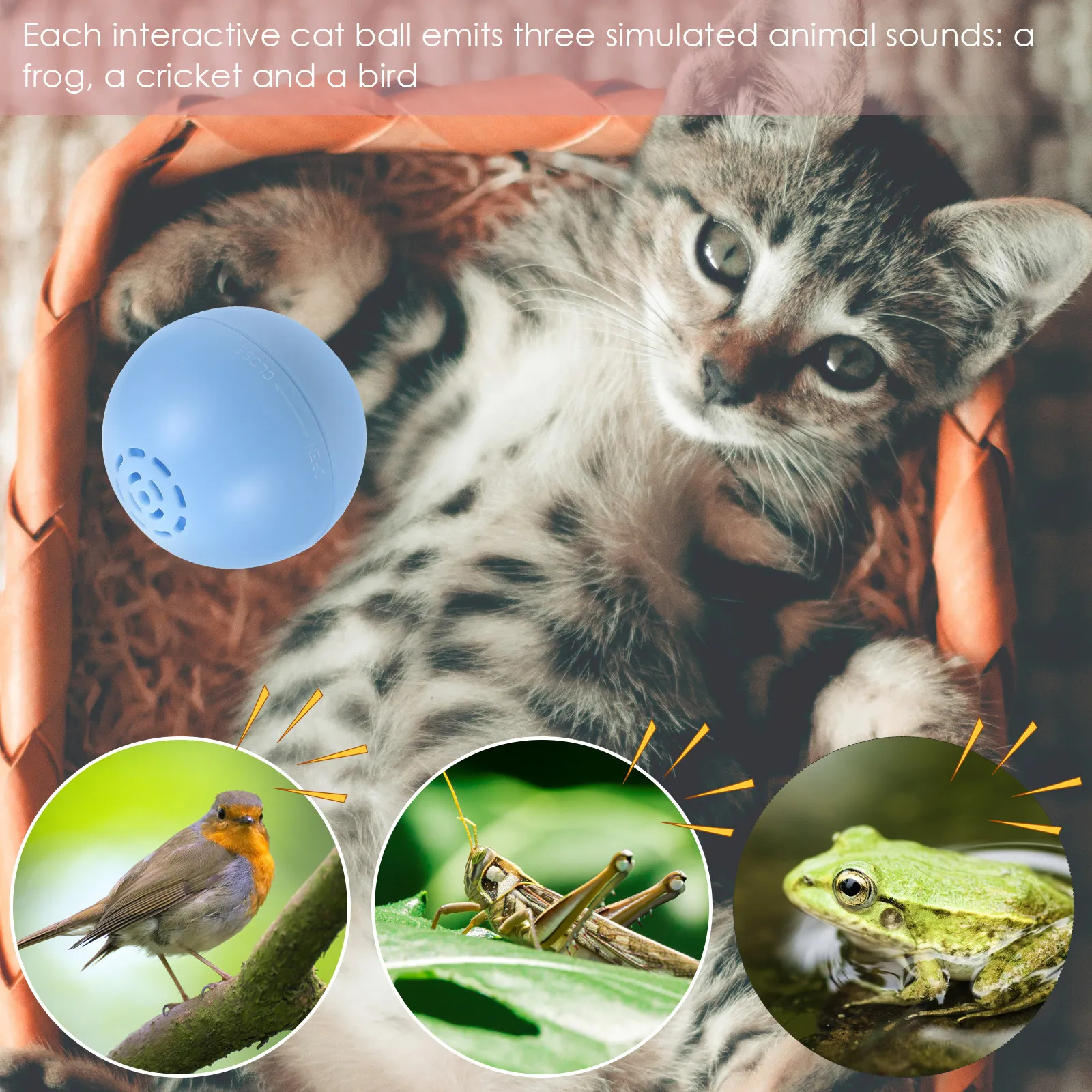 Wear-Resistant Electric Music Ball Cat Plaything Portable Interactive Kitten Supply Stimulating Frog Cricket Bird Cat Accessory