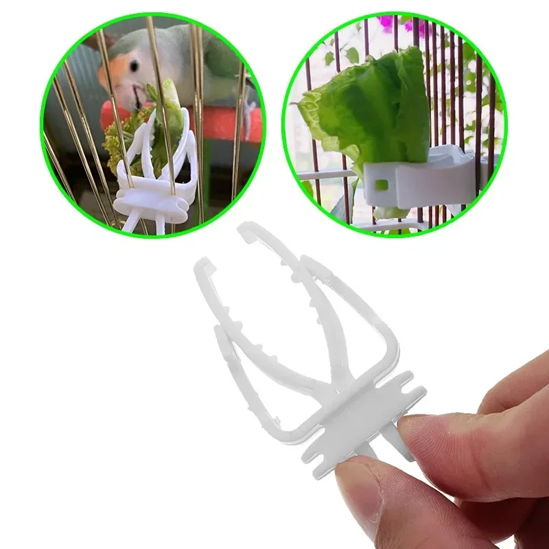 Birds Food Holder Pet Parrot Feeding Fruit Vegtable Clip Cuttlefish Bone Feeder Device Pin Clamp Bird Cage Accessories