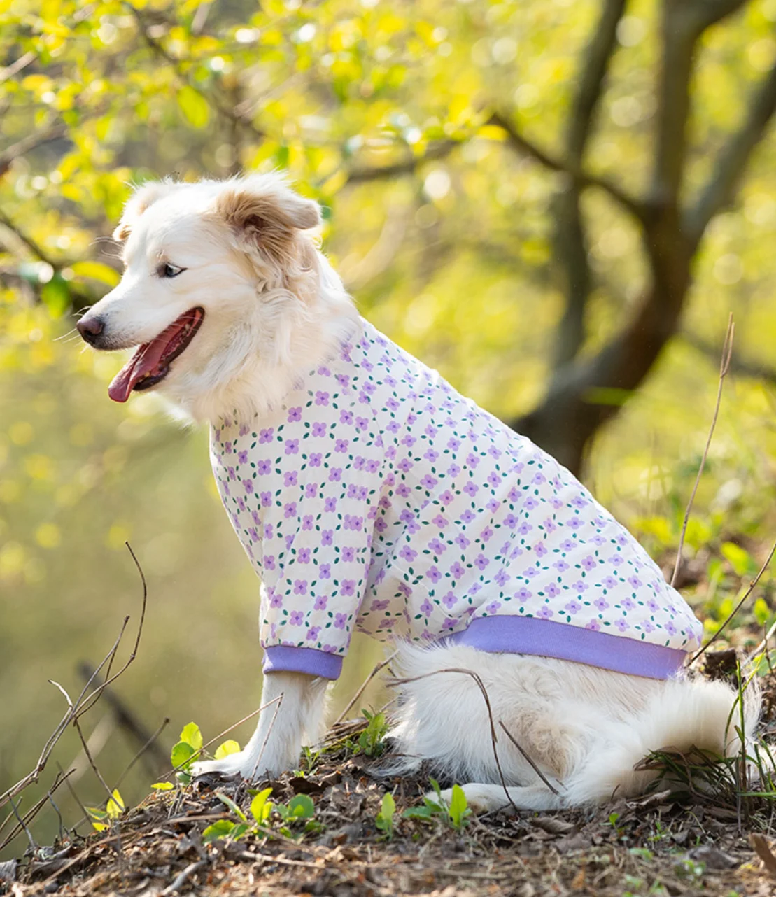 Thin Breathable Cotton Pet Pullover Clothes, Anti-Hair Loss, Sunscreen, Short-Sleeved, Medium and Large Dog Clothes