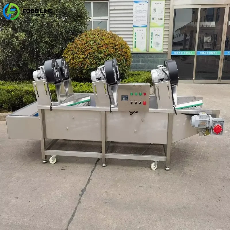 Customized Food Grade Fruit & Vegetable Drying Conveyor Belt Mobile Stainless Steel Air Drying Equipment