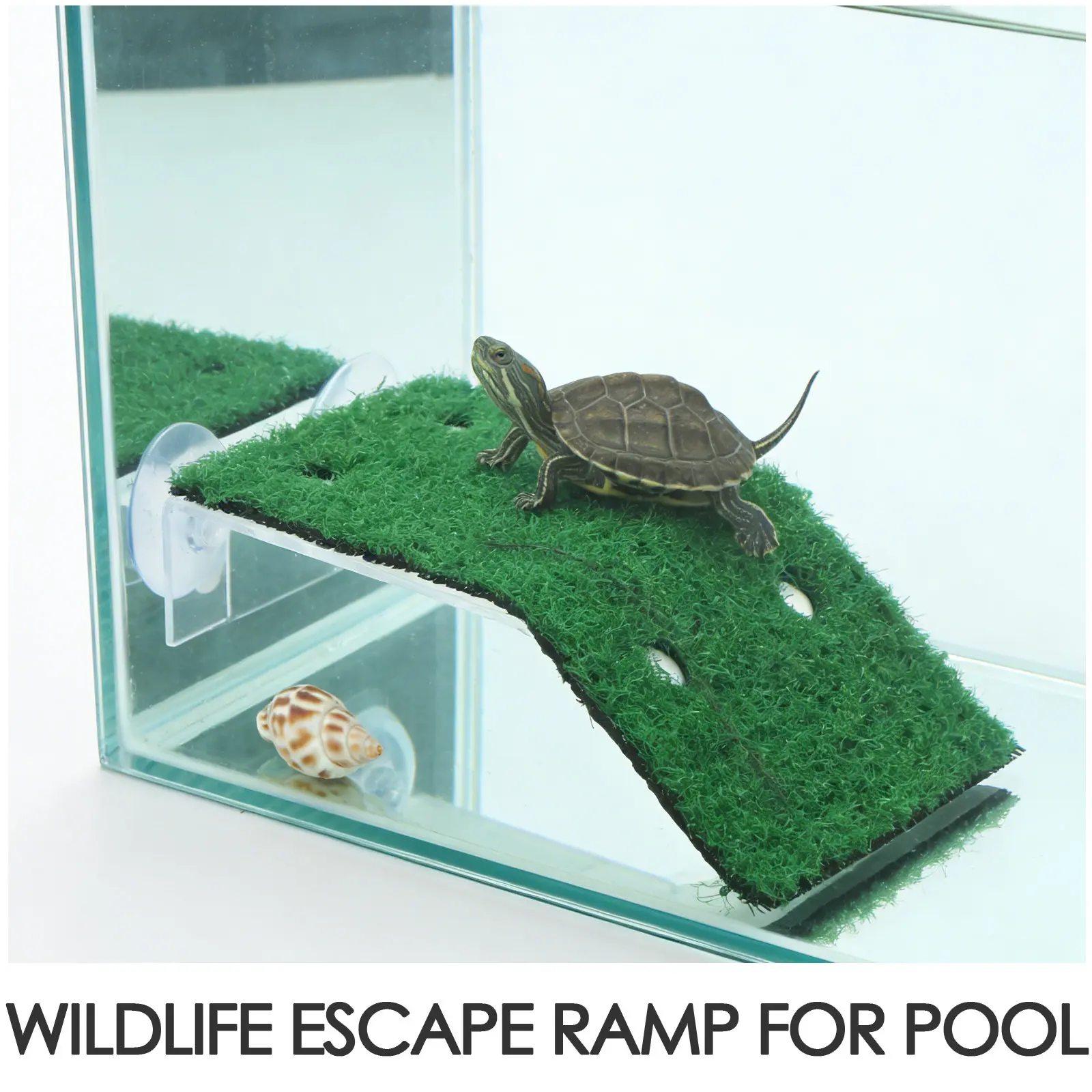 4Pcs Pet Pool Escape Ramp Strong Suction Cup for Dogs Cats Frogs Small Animals Swimming Pool Safety Solution Animal Rescue