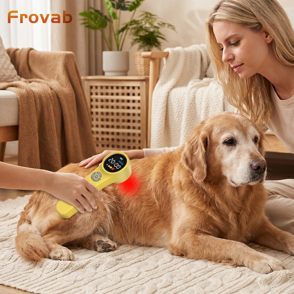 Appareil de thérapie laser froid pour tissus profonds Frovab Classe 4, 660nm 810nm 980nm LLLT, pour cliniques de physiothérapie, soulagement de la douleur et traitement de l'inflammation