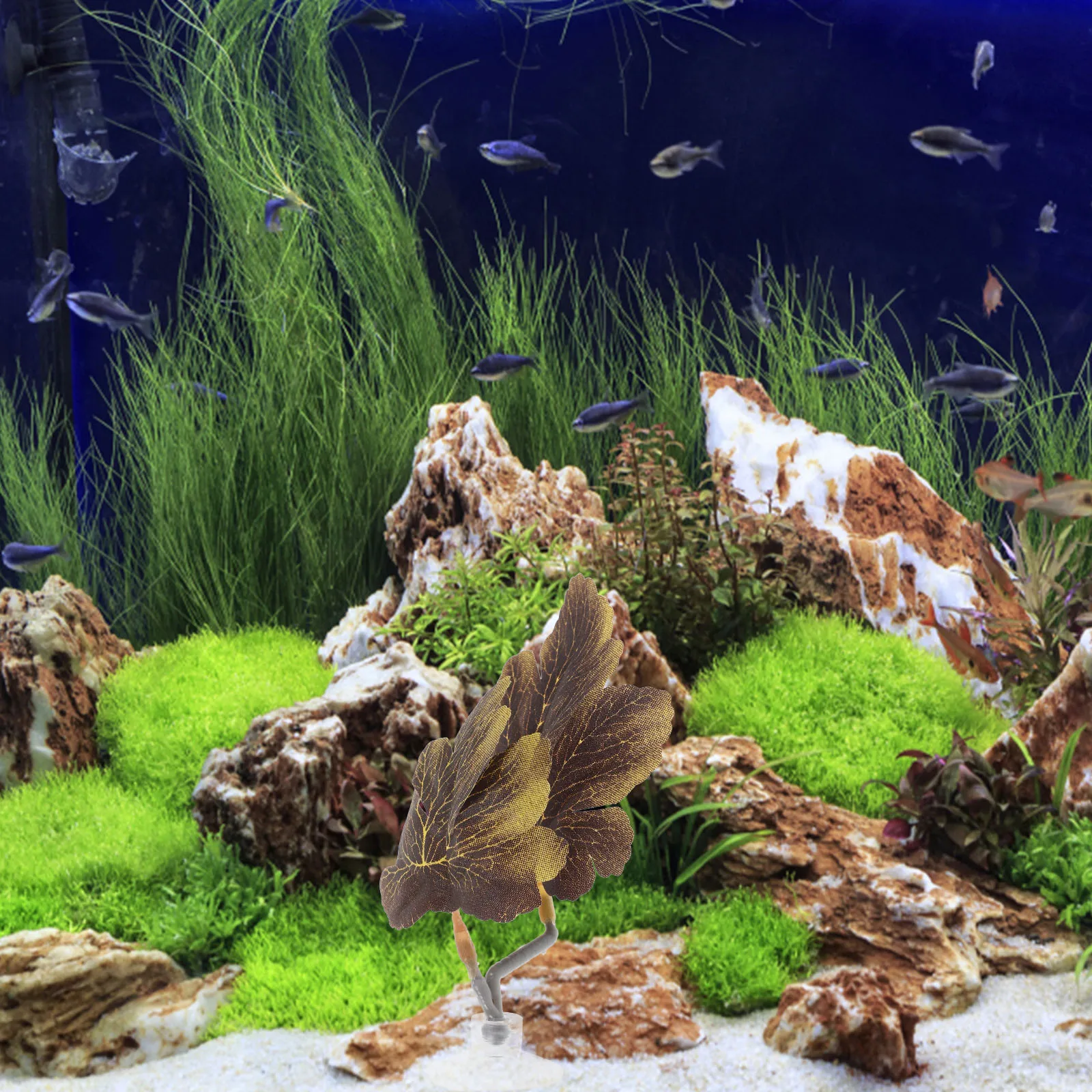 

Simulation Aquatic Plants Betta Leaf Hammock Fish Resting Leaves Decor Plastic Shelter for Fighting Fish Tank Adornment Breeding