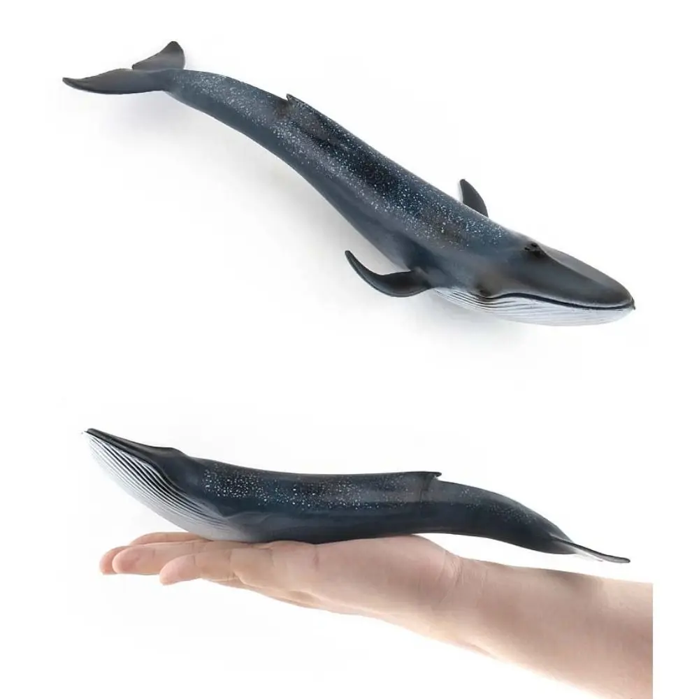 Simulation Marine Animal Model Sperm Whale Ocean Animals Whale Figurines Underwater Biological Solid PVC Sea Life Figure
