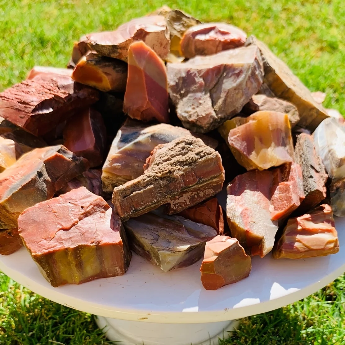 100g Natural Wooden Raw Stone – A natural fossilized display piece suitable for home or office décor.