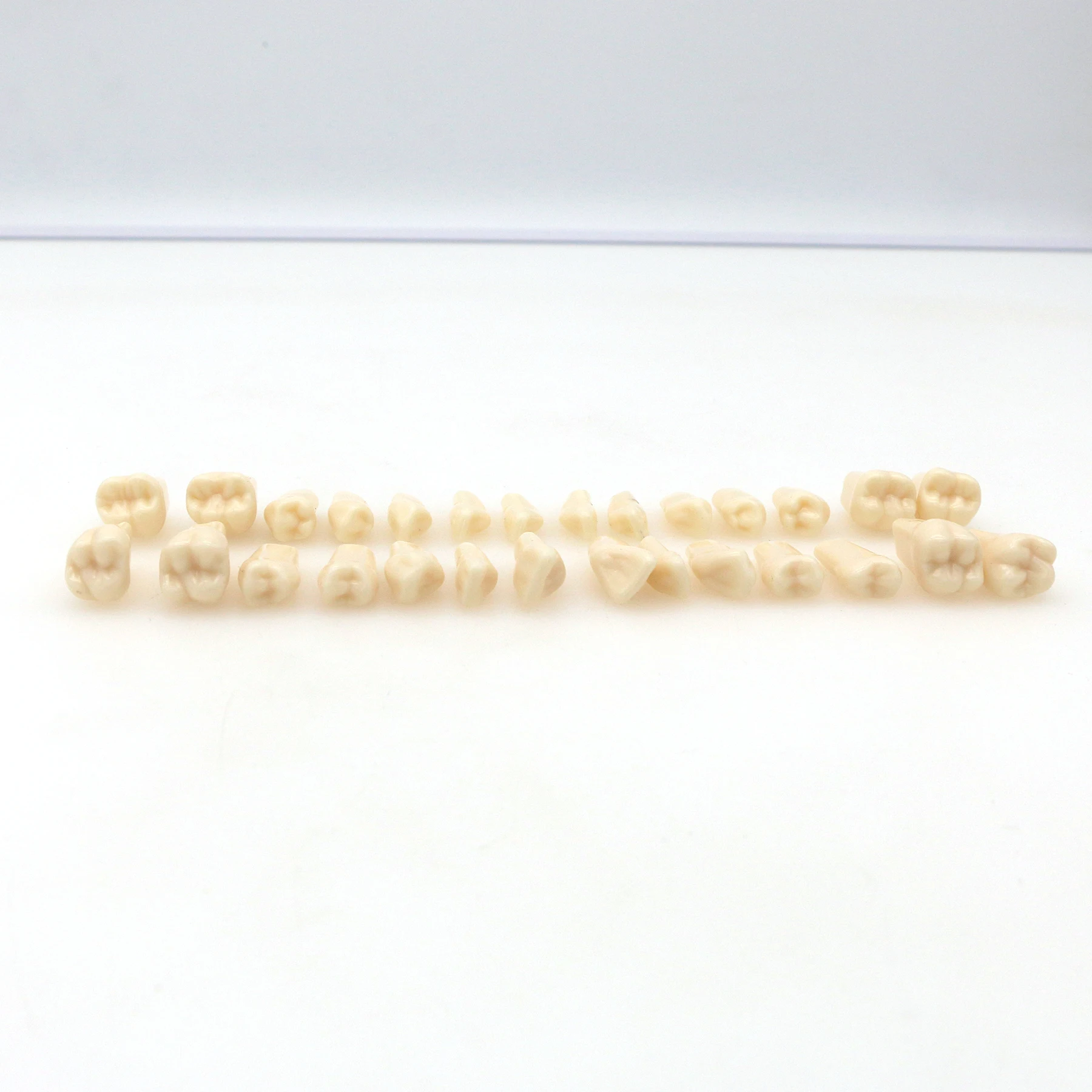 28 قطعة للأسنان تناسب Frasaco ANA-4 Typodont استبدال المسمار في الأسنان نموذج M8021 #4