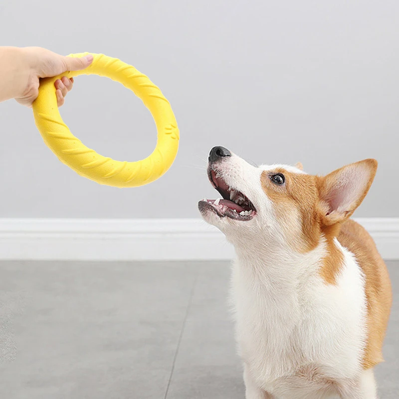 Dog Flying Ring Toy 5