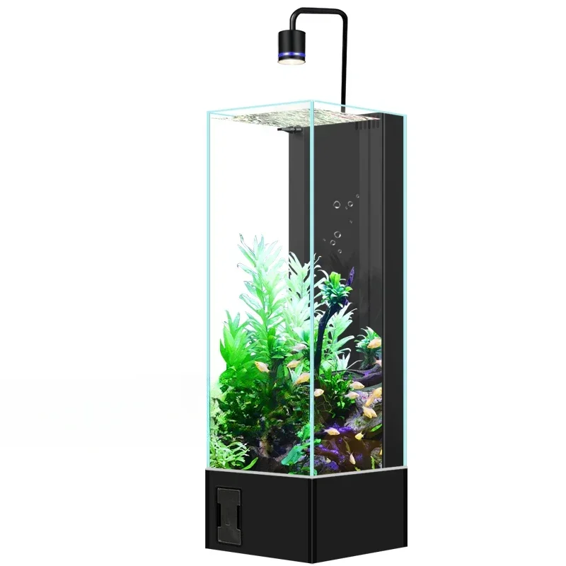 

New Type Fish Tank Living Room Small Aquarium to Floor Home Ultra White Glass