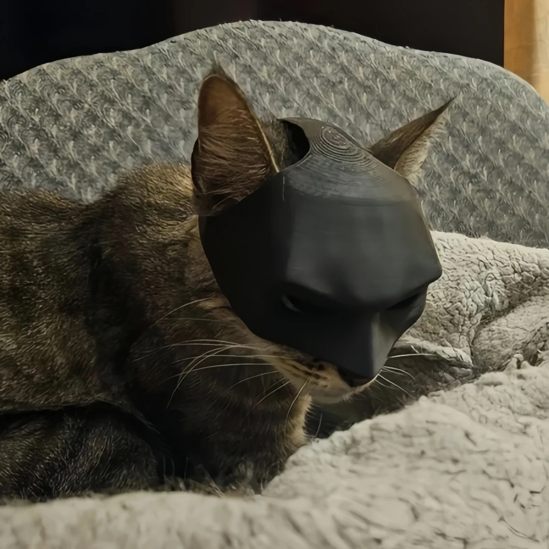 2-teilige Katzen-Avenger-Maske, schwarze Fledermaus-Halloween-Cosplay-Maske, lustige Plastik-Katzen-Party-Kopfbedeckung, Spielzeug, Foto-Requisiten, Haustier-Zubehör – Detail 9