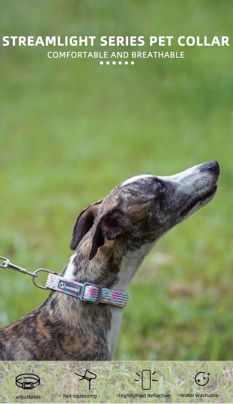 Haustier liefert Hunde halsband für Welpen mittelgroße Hunde niedliche Katze langlebiges Leben Hunde leine Halsband Deutscher Schäferhund Walking Training neu – Detail 2