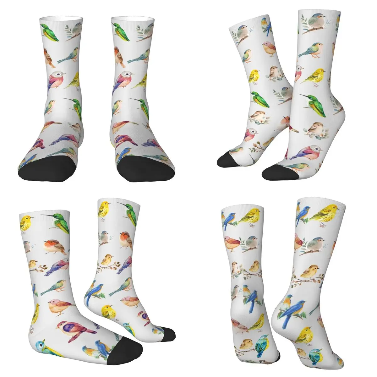 

Bird Illustration Pattern Socks Harajuku Super Soft Stockings All Season Long Socks Accessories for Unisex Birthday Present