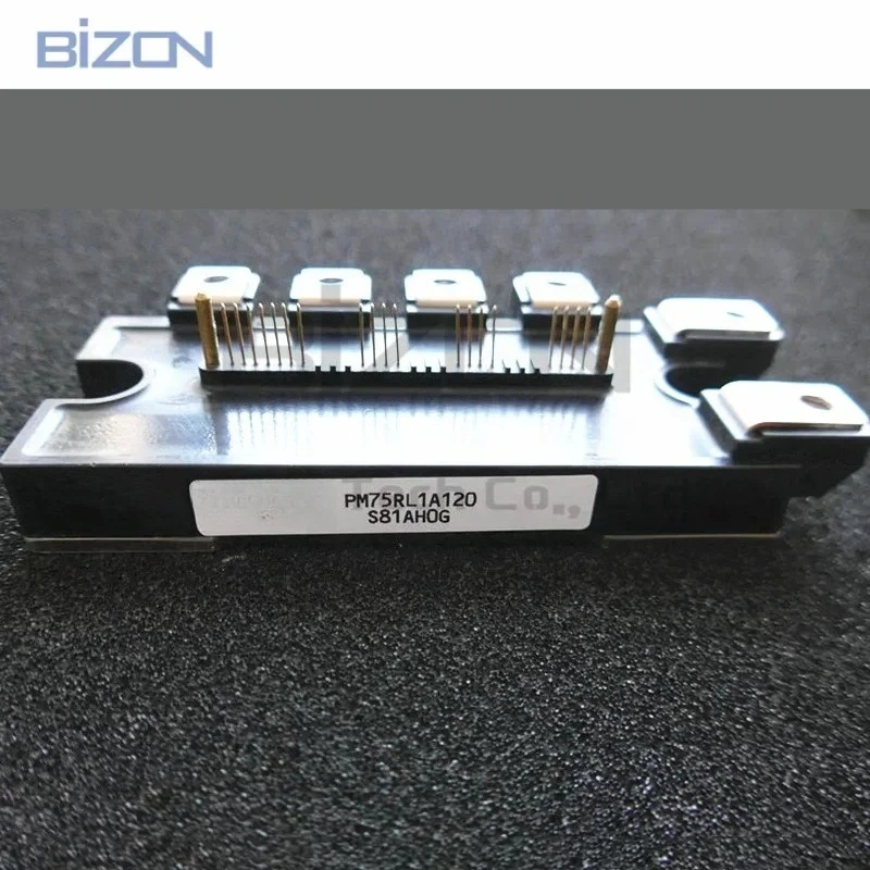 

PM75RL1A120 New Original Module