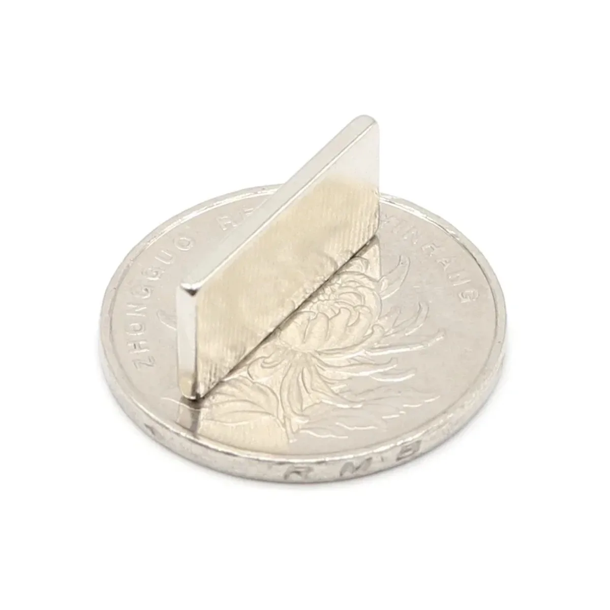 N52 20X10X2 Disc Ai… - image