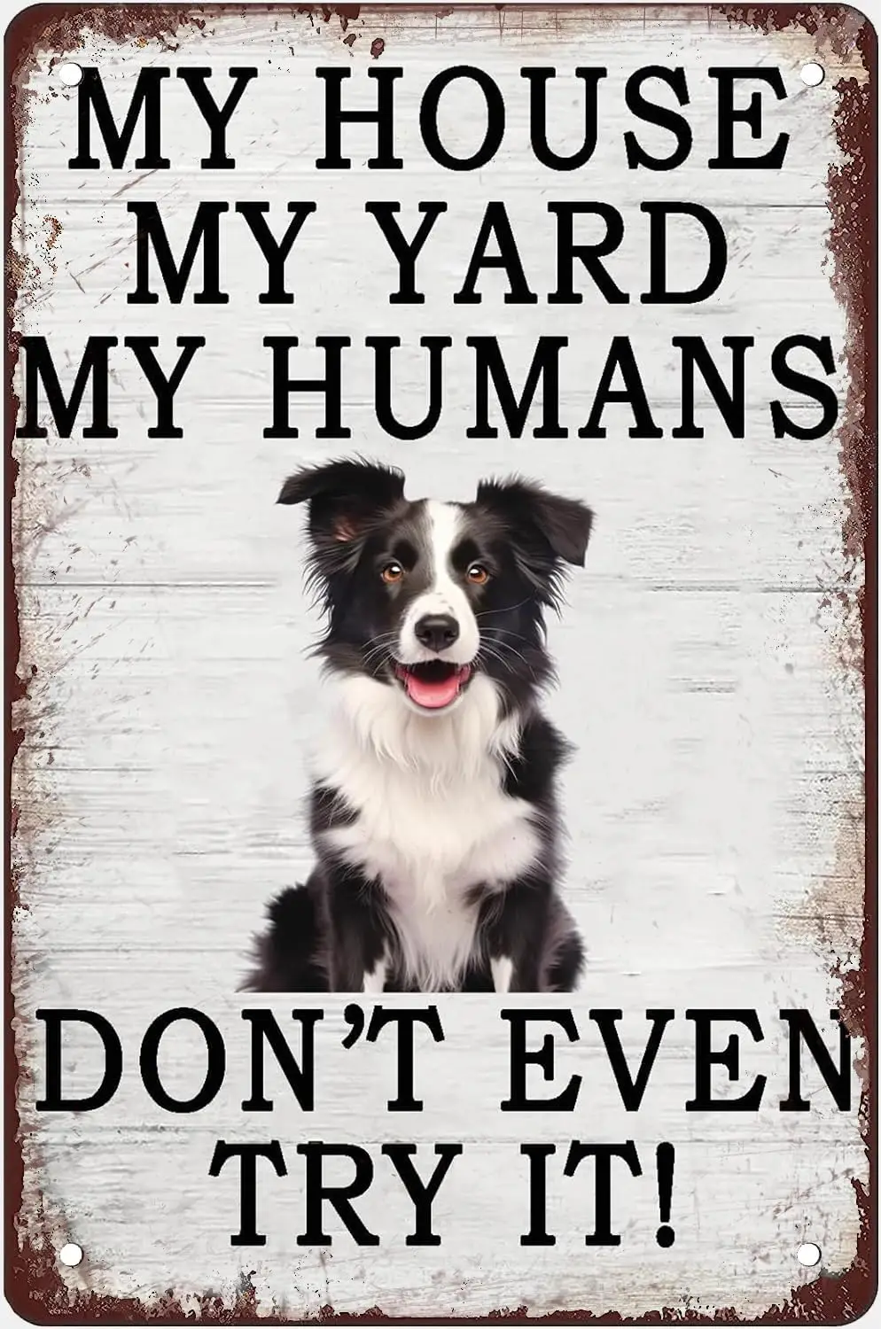 Y1,Funny Dog Tin Signs My House Yard Humans Dont Even Try It Retro Poster Plaque Border collie Wall Decorations for G