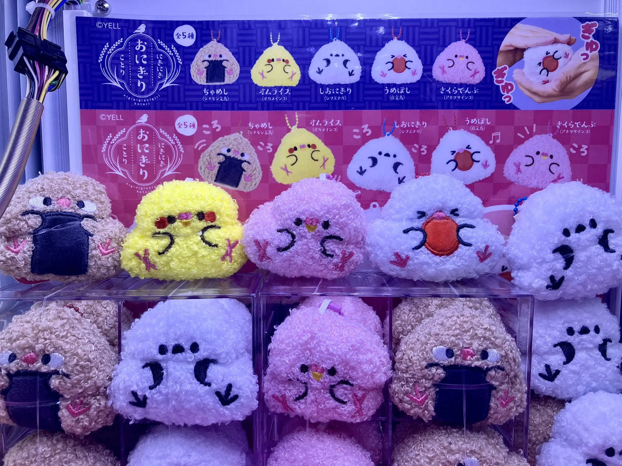 Yell world Nigi Nigi Onigiri Kotori cute kawaii cockatiel Long-tailed tit sparrow Bourke papuga rice ball wycisnąć pluszowe zabawki