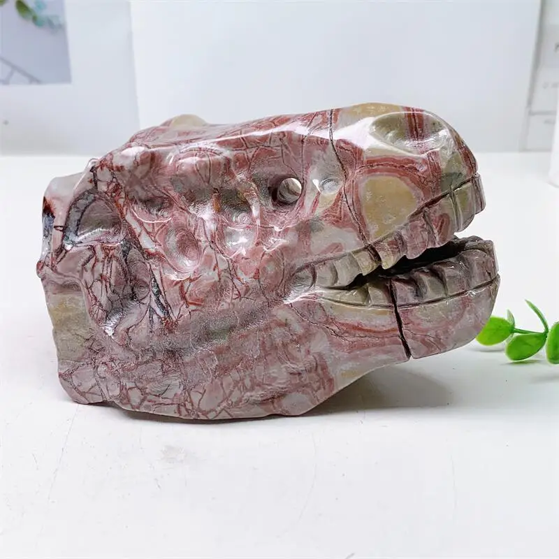 

Natural Jade Dinosaur Skull Carving Polished Healing Stones Gemstones For Home DIY Decoration Gift 1pcs