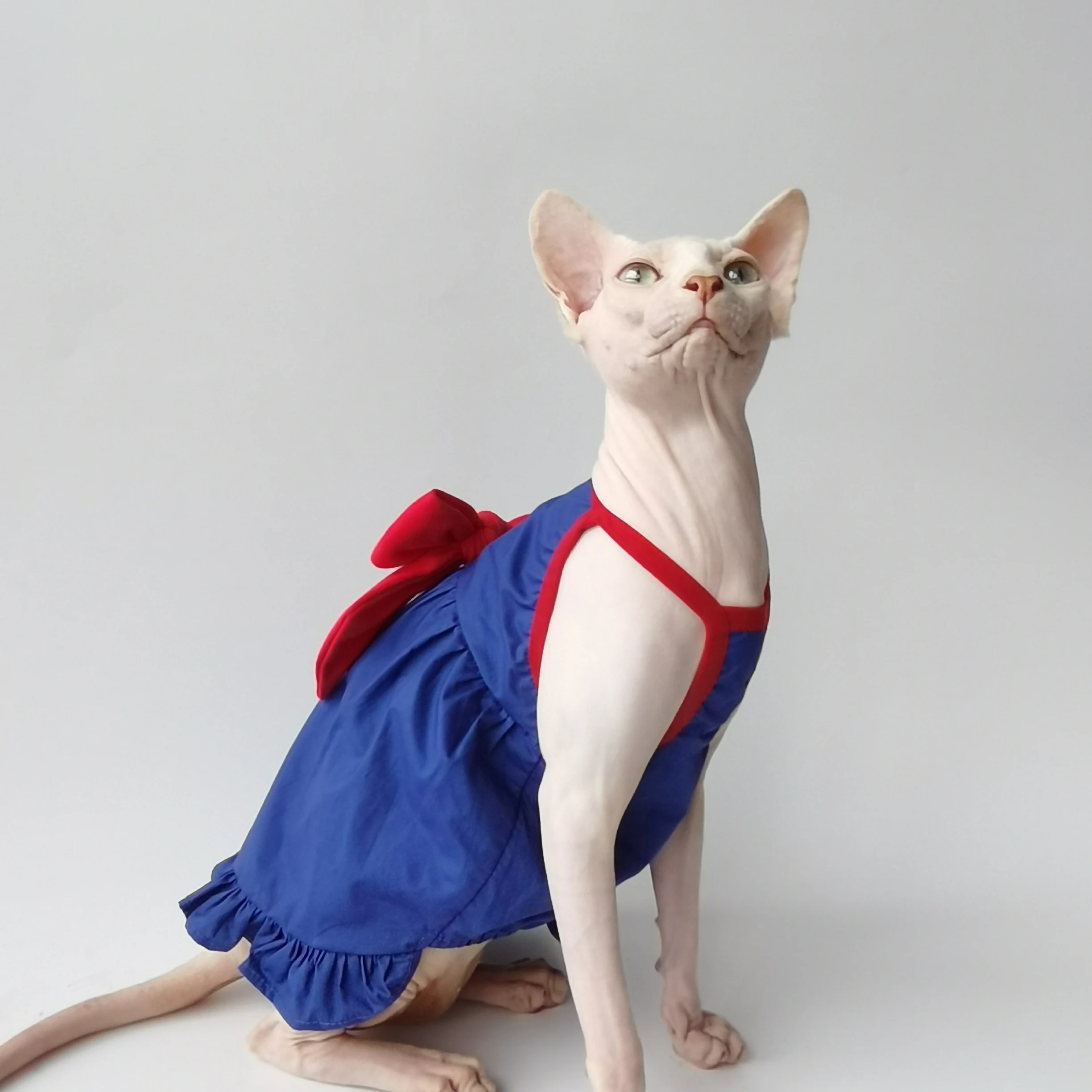 Vestido de algodón para gatos Sphynx de verano con lazo rojo - imagen 4