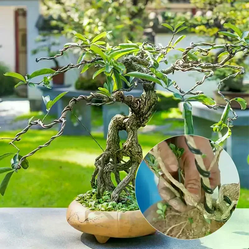 10 M Aluminum Bonsai Training Wires 1 Mm To 3 Mm Orchard Garden Plant DIY Shape Tools Home Use Accessories