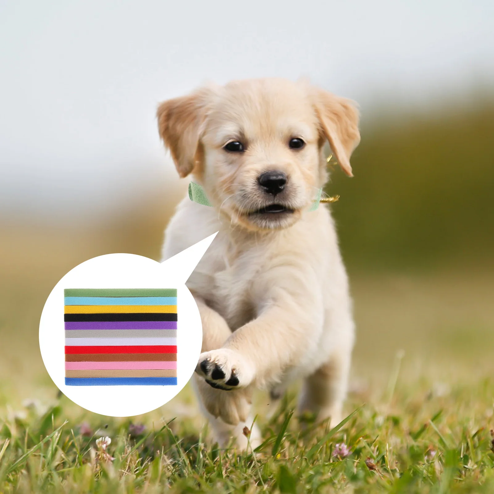 

12pcs 12 Colors Adjustable Pet Collar Puppy Id Band Nylon Pp 35Cm 10Mm Easy Use Dog Collar Whelping Bands Assorted Color